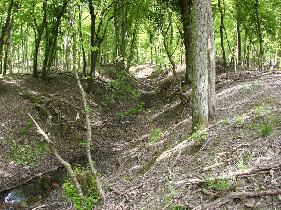 Ligne Maginot - HOMBOURG-BUDANGE - (Position ALVF) - Dernier épi visible - Schnoupf