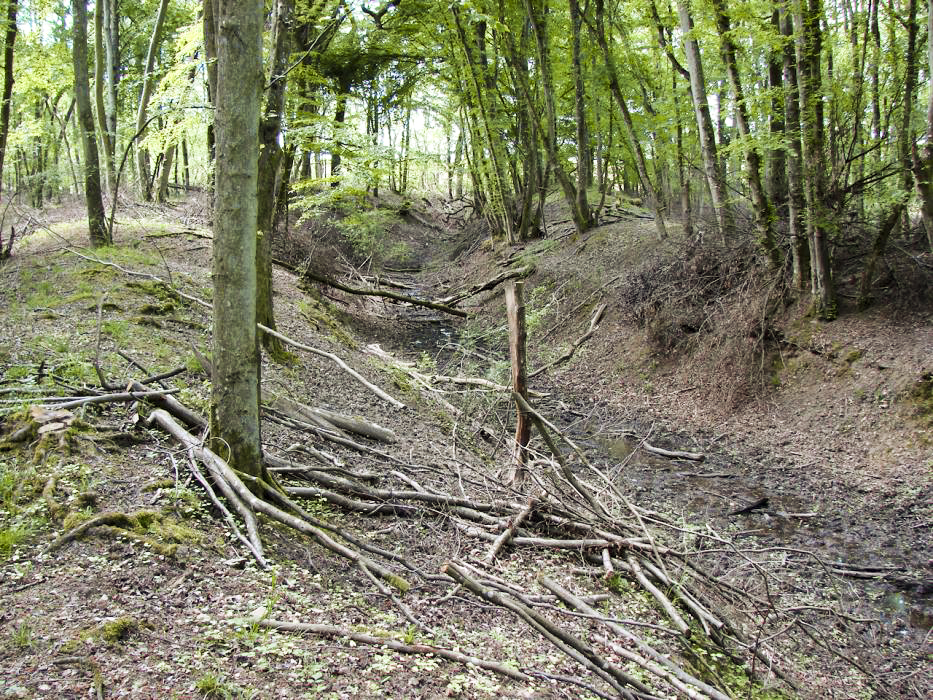 Ligne Maginot - HOMBOURG-BUDANGE - (Position ALVF) - Dernier épi visible - Schnoupf