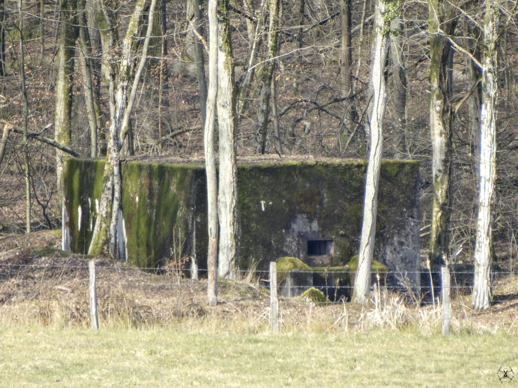 Ligne Maginot - HUBERBUSCH 3 - (Blockhaus pour arme infanterie) -    - VWJ Vermeulen