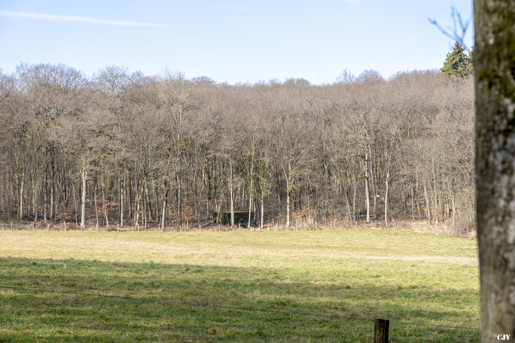 Ligne Maginot - HUBERBUSCH 3 - (Blockhaus pour arme infanterie) -   - Lia VERMEULEN