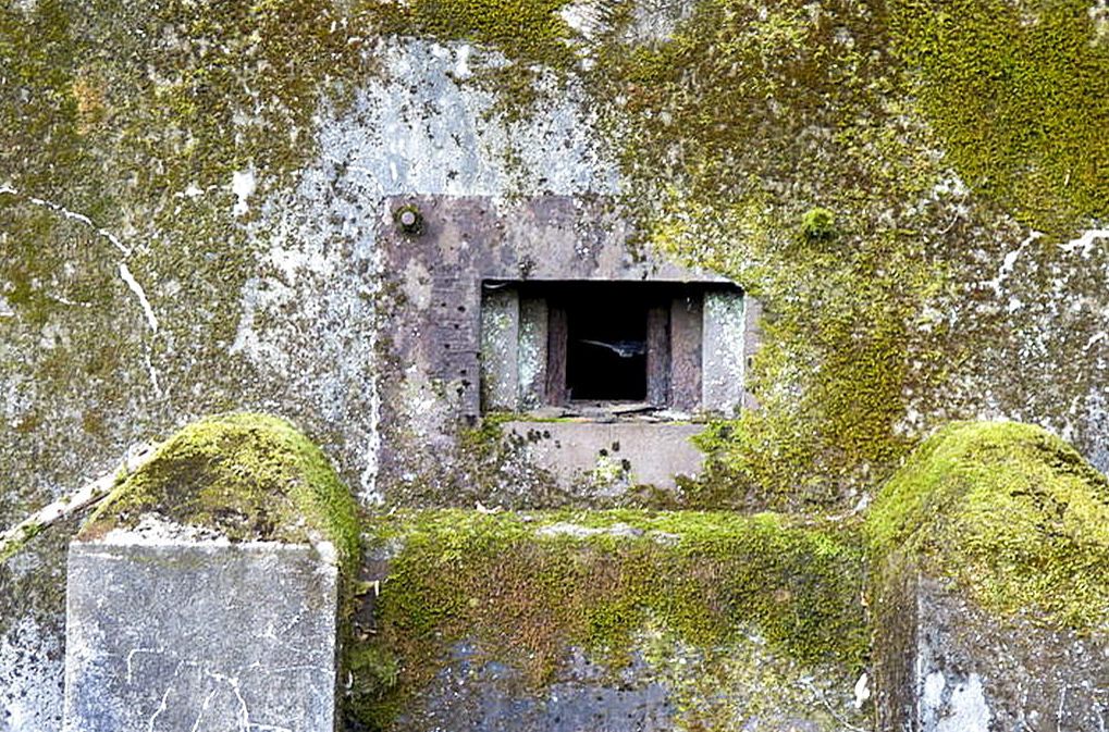Ligne Maginot - HUBERBUSCH 3 - (Blockhaus pour arme infanterie) -   - Sylvie-Laure LAMBERT