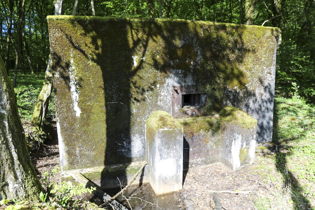 Ligne Maginot - HUBERBUSCH 3 - (Blockhaus pour arme infanterie) -  - Alain Perouffe