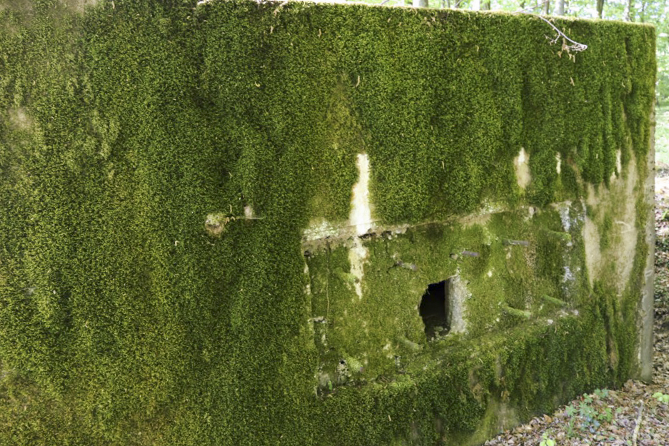Ligne Maginot - HUBERBUSCH 3 - (Blockhaus pour arme infanterie) -  - Alain Perouffe