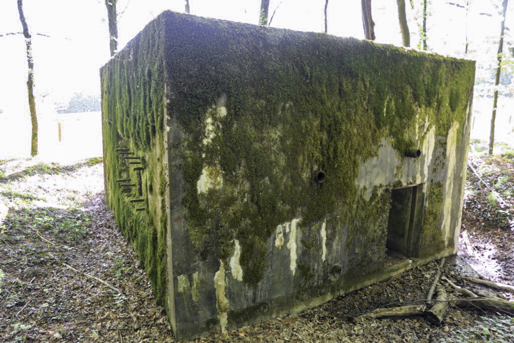 Ligne Maginot - HUBERBUSCH 3 - (Blockhaus pour arme infanterie) -  - Alain Perouffe