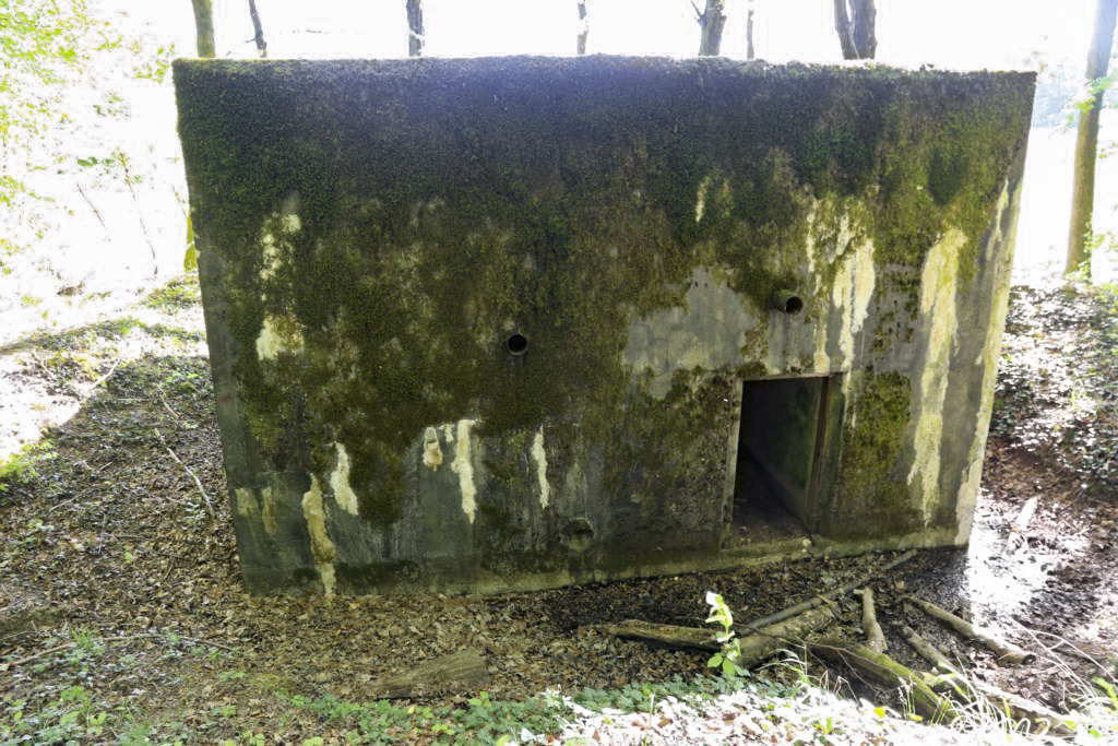 Ligne Maginot - HUBERBUSCH 3 - (Blockhaus pour arme infanterie) -  - Alain Perouffe