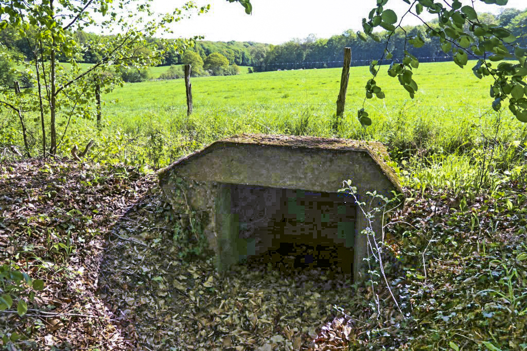 Ligne Maginot - HUBERBUSCH 4 - (Blockhaus pour arme infanterie) - Petit bouclier, avec plaque métallique. Armement probable paire d'yeux et très petite arme d'infanterie - Alain Perouffe