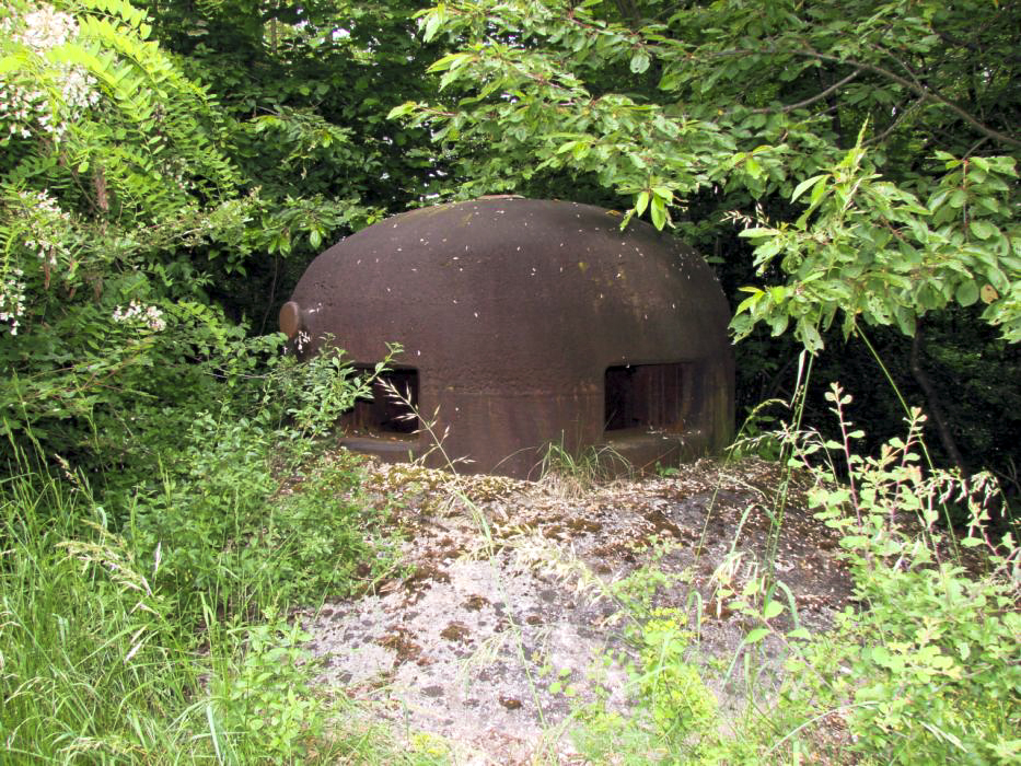 Ligne Maginot - HUMMERSBERG - X20 - (Abri) -  - Schnoupf