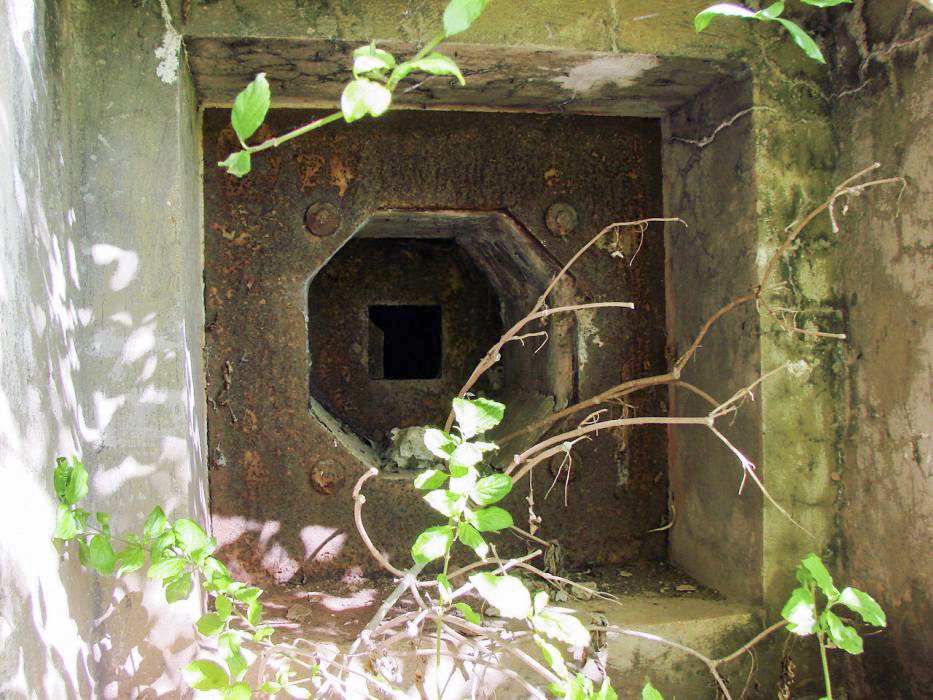 Ligne Maginot - HUMMERSBERG - X20 - (Abri) - Coffre Sud
Second créneau de défense. - Schnoupf