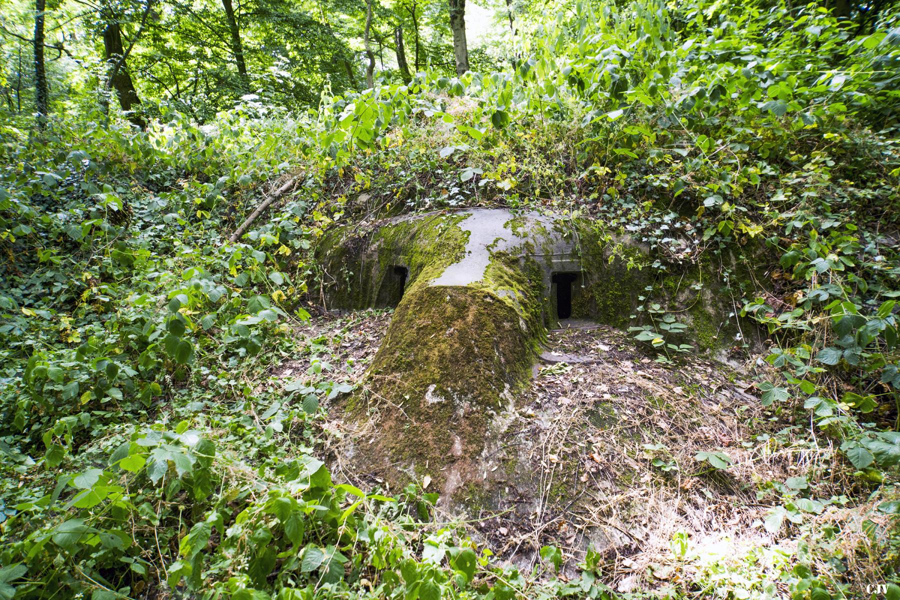 Ligne Maginot - 97 - KNOERINGUE EST - (Blockhaus lourd type STG / STG-FCR - Double) - La cloche Pamart - Lia VERMEULEN