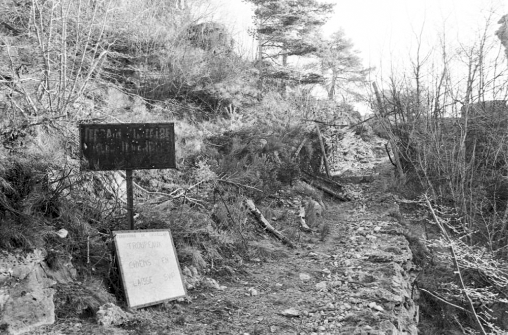 Ligne Maginot - PIERRE POINTUE - (Ouvrage d'infanterie) - Le chemin d'accés - LOVINY Alain