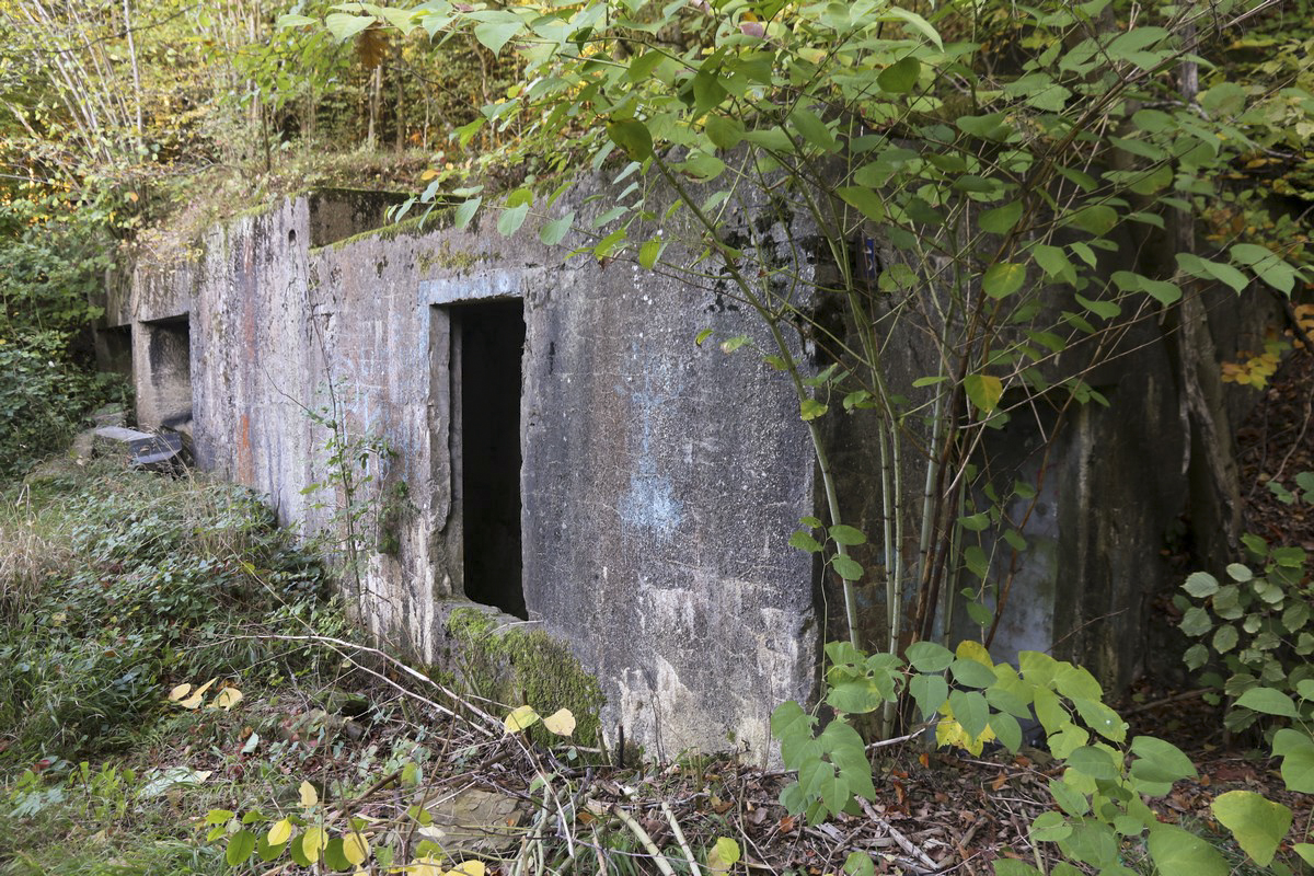 Ligne Maginot - KEDANGE SUR CANNER - (Poste de Secours) - Vue des entrées (avec salles de tri ?) - Alain Perouffe