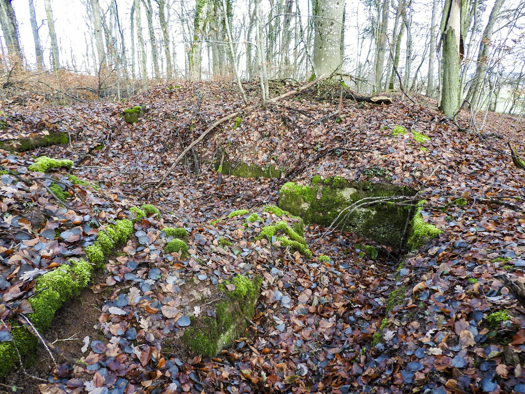 Ligne Maginot - SCHESSEL 3 - (Abri) - Une construction inachevée. - STENGER Mathieu