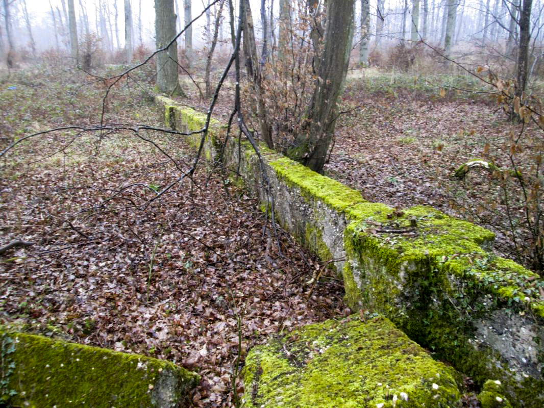 Ligne Maginot - STOLBUESCH - (Dépôt du Génie) -  - Titi57