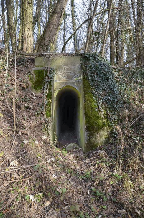Ligne Maginot - T768 - PA DU LINSENBERG 2 - (Cuve pour arme d'infanterie) - Entrée coté route
Entrée à niveau avec la route, dans le talus. - D. Froehly