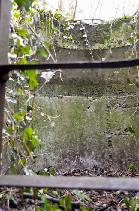 Ligne Maginot - T768 - PA DU LINSENBERG 2 - (Cuve pour arme d'infanterie) - Encuvement pour la tourelle démontable - D. Froehly
