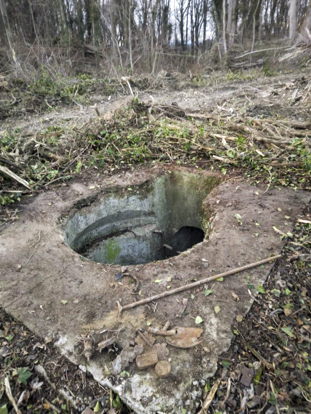 Ligne Maginot - T768 - PA DU LINSENBERG 2 - (Cuve pour arme d'infanterie) - Emplacement tourelle dégagé suite à la tempête - David ORY