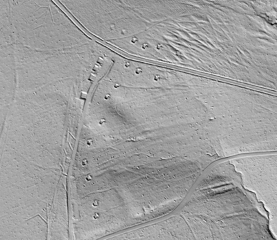 Ligne Maginot - LANGENSOULTZBACH - (Dépôt du Génie) - Vue LIDAR dudit dépôt. Noter le grand nombre d'alvéoles dispersées dans les sous-bois au delà de celles en bordure de piste - Jean-Michel Jolas