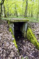 Ligne Maginot - BERENBACH - A26 - (Ouvrage d'infanterie) - Près du bloc 1
Niche