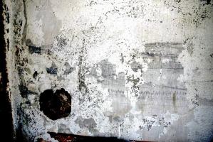 Ligne Maginot - BERENBACH - A26 - (Ouvrage d'infanterie) - Chambre de tir.
Les restes du panorama