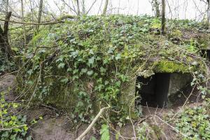 Ligne Maginot - GEISMUHL 3 - (Abri) - Le créneau