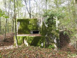Ligne Maginot - KAISERWALD - (Blockhaus pour canon) - La façade de tir vers l'Est.