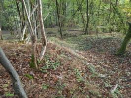 Ligne Maginot - BOIS SACKER - (Abri) - 