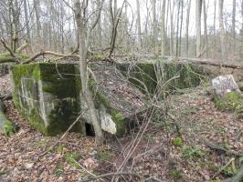 Ligne Maginot - GROSSLING (II° 59° RAMF) - (PC de Quartier) - L'entrée de gauche est presque remblayée.