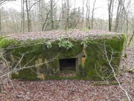 Ligne Maginot - HOLZSCHLAG 3 - (Blockhaus pour canon) - La façade arrière avec l'entrée du canon.