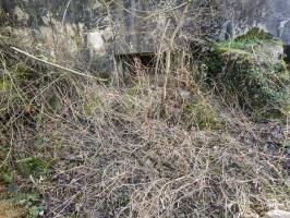 Ligne Maginot - 54 - VELOSNES OUEST - (Blockhaus pour arme infanterie) - 