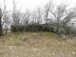 Ligne Maginot - ELSENBERG 1 - (Casemate d'infanterie - Simple) - La vue frontale.