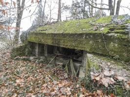 Ligne Maginot - ELSENBERG 8 - (Blockhaus pour canon) - La façade de tir.