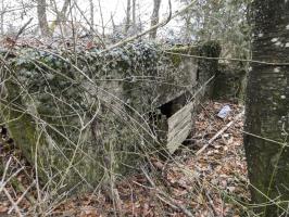 Ligne Maginot - ELSENBERG 8 - (Blockhaus pour canon) - L'entrée arrière pour le canon.