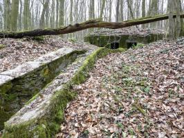 Ligne Maginot - GROS BOIS (160° RIF) - (PC de Sous-Secteur) - Le premier bâtiment.
Noter la présence d'isolateurs dans l'arbre couché.