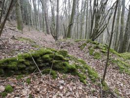 Ligne Maginot - KLAM 7 - (Blockhaus pour arme infanterie) - Juste en contre-bas du blockhaus un reste de muret en pierres sèches. Position de tir ou emplacement d'un abri léger ?