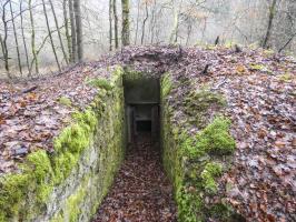 Ligne Maginot - RUISSEAU DU GROSSTHAL 2 - (Blockhaus pour arme infanterie) - La tranchée d'accès maçonnée.