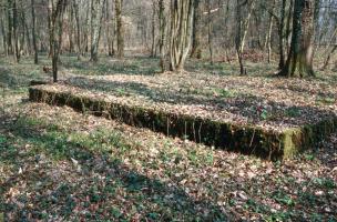 Ligne Maginot - SAINT HUBERT - DéPôT ARRIèRE - (Dépôt de Munitions) - Emplacement de la baraque de Cie