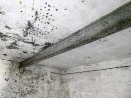 Ligne Maginot - GRANGES COMMUNES - (Ouvrage d'infanterie) - Bloc 1
IPN supportant un palan