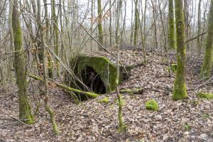Ligne Maginot - DIEFENBACH - (Abri) -  Abri en tôle métro et béton 
