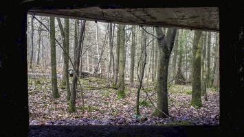 Ligne Maginot - DRACHENBRONN NORD OUEST - (Casemate d'infanterie) - Vue depuis le créneau JM et canon de 37