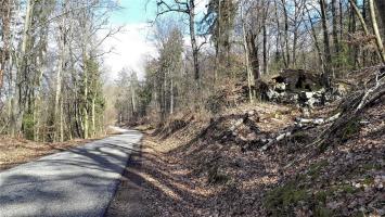Ligne Maginot - B20-A HINTERWALD OUEST - (Blockhaus pour canon) - Les ruines du bloc bordant la route