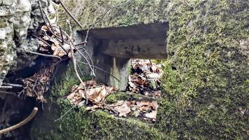 Ligne Maginot - B20-A HINTERWALD OUEST - (Blockhaus pour canon) - Le seul créneau visible