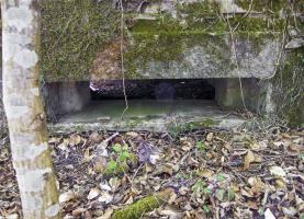 Ligne Maginot - GRUENDEL 3 - (Blockhaus pour arme infanterie) - 