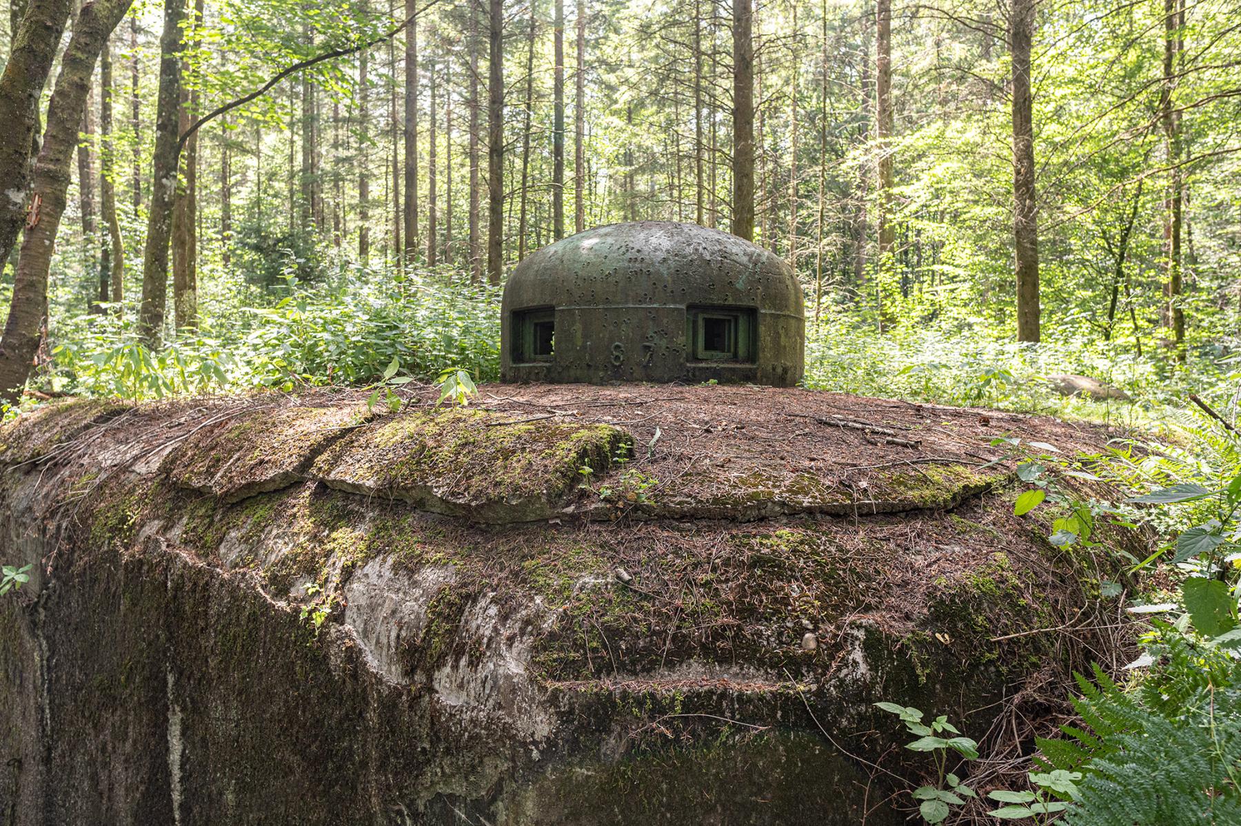 Ligne Maginot - WINECKERTHAL EST - (Casemate d'infanterie - Simple) -  - David Palmer