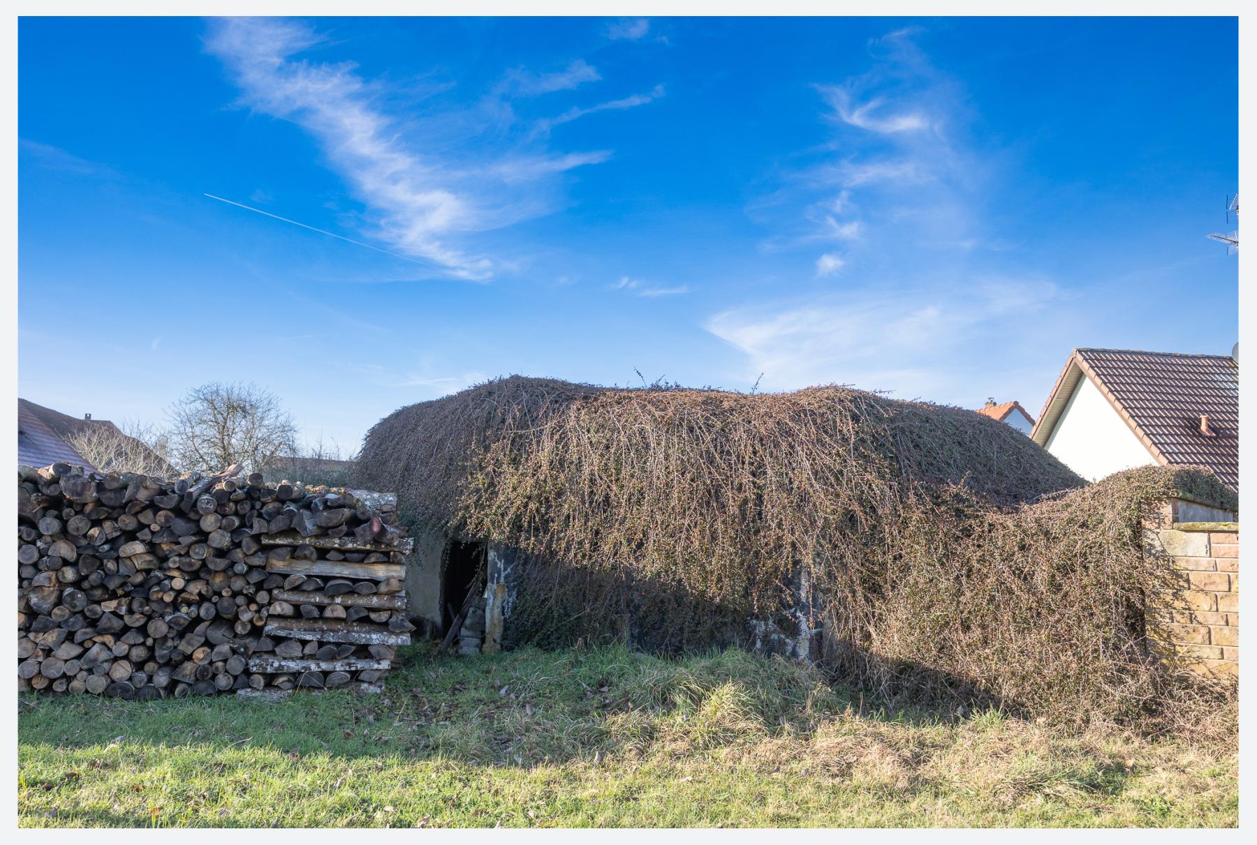Ligne Maginot - LORENTZEN - (Blockhaus de type indéterminé) - L'arrière du blockhaus avec son camouflage naturel. - Lenhard Christian