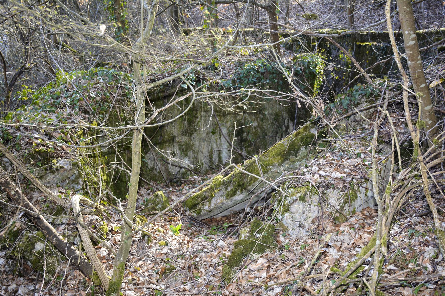 Ligne Maginot - BBO4 - (Blockhaus pour canon) - Les ruines du bouclier - Pascal Lambert