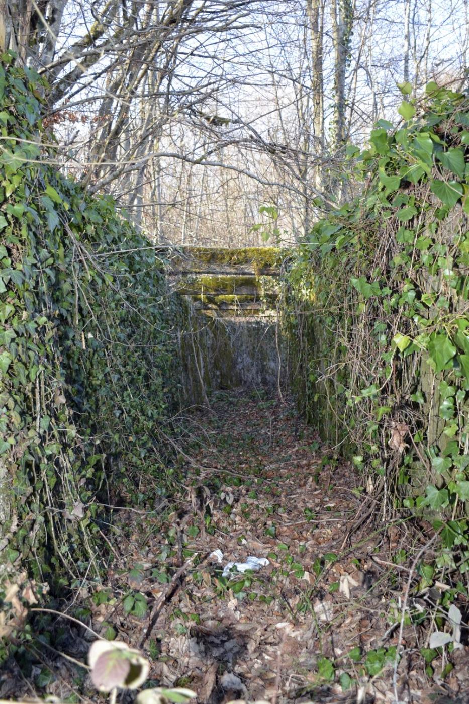 Ligne Maginot - BBO4 - (Blockhaus pour canon) - L'accès depuis la route à la  tranchée pour l'acheminement de la pièce antichar - Pascal Lambert