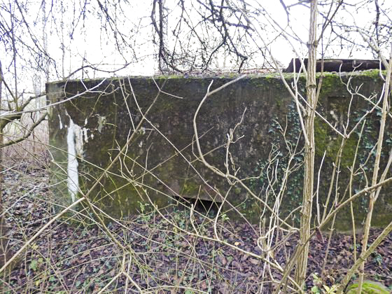 Ligne Maginot - Bb6-B - GEISMUHL 1 - (Blockhaus pour arme infanterie) - Créneau frontal
 - AALMA - Lignemaginot.com