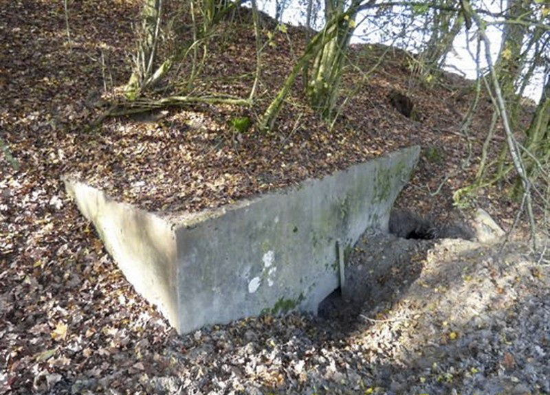 Ligne Maginot - Bb34-D - MUHLENKLOPP 1 - (Blockhaus pour canon) -  - AALMA - Lignemaginot.com