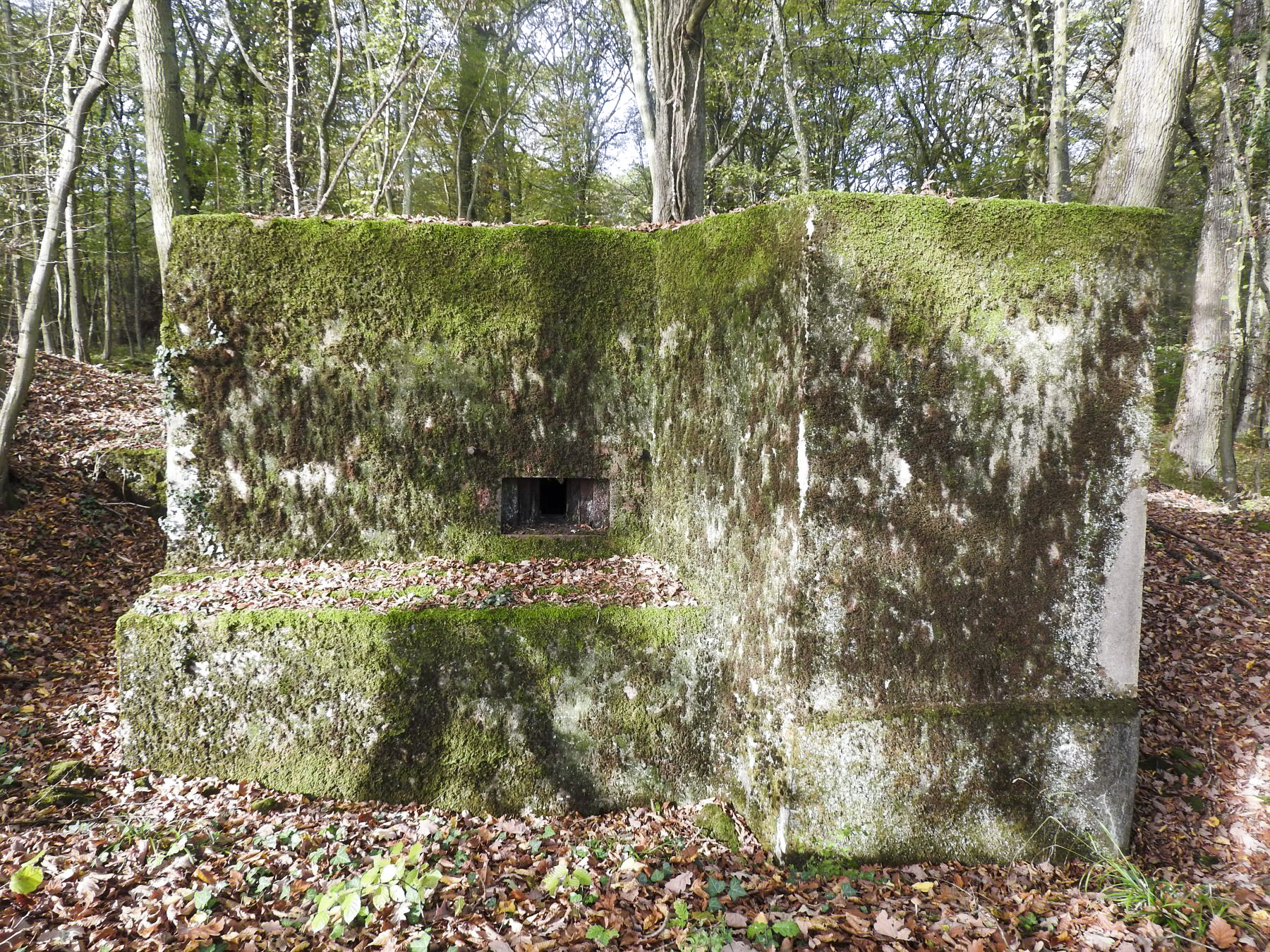 Ligne Maginot - BB35 - (Blockhaus pour arme infanterie) - La façade de tir. - STENGER Mathieu
