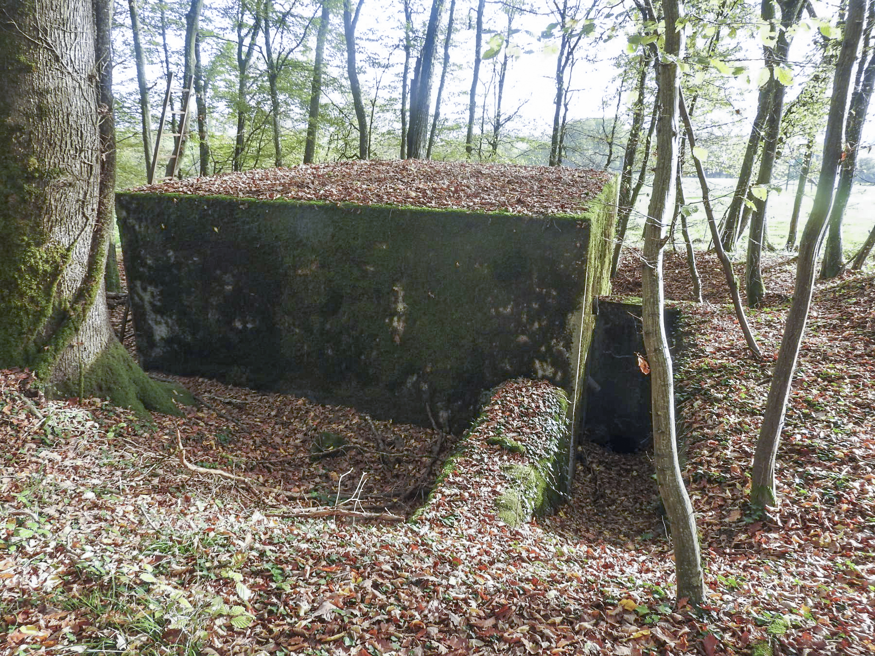 Ligne Maginot - BB35 - (Blockhaus pour arme infanterie) - L'arrière du blockhaus et son entrée à droite. - STENGER Mathieu
